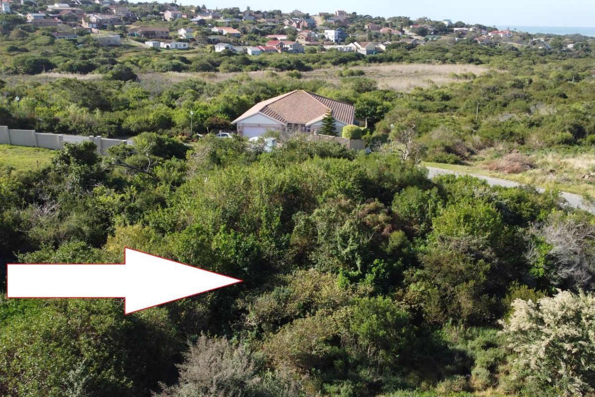 An aerial view of a vacant residential plot covered in dense indigenous vegetation, situated within a developed coastal neighborhood.