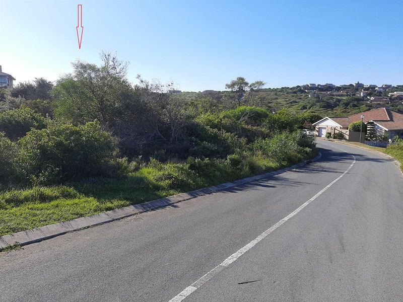 A view of a vacant residential plot featuring natural vegetation, situated along a paved street in a developed neighborhood.