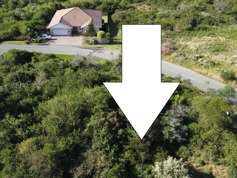 Aerial view of a vacant residential plot covered in dense natural vegetation, situated adjacent to an established street and residential property.