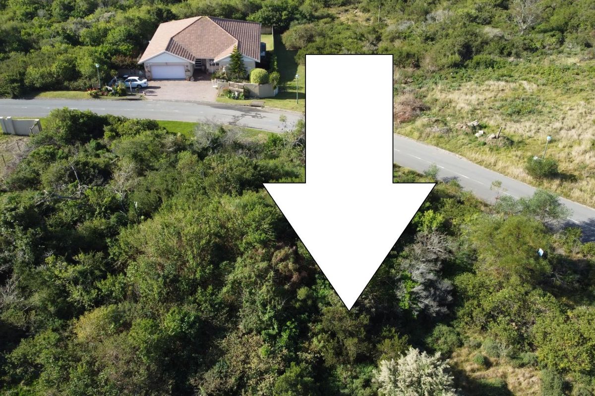 Aerial view of a vacant residential plot covered in dense natural vegetation, situated adjacent to an established street and residential property.