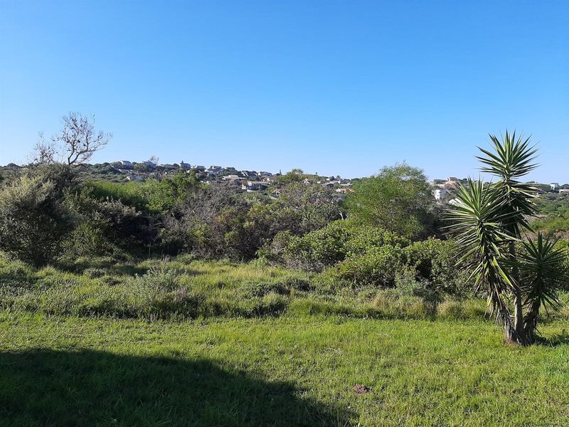A view of the vacant residential land featuring natural vegetation, grass, and surrounding neighborhood landscape.