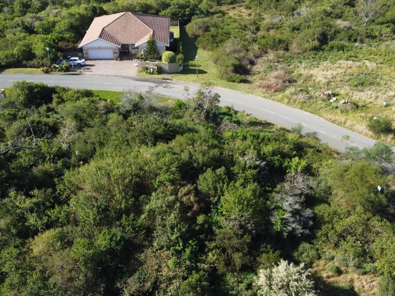 An aerial view of a vacant residential plot covered in dense natural vegetation, situated adjacent to a paved road and existing residential housing.