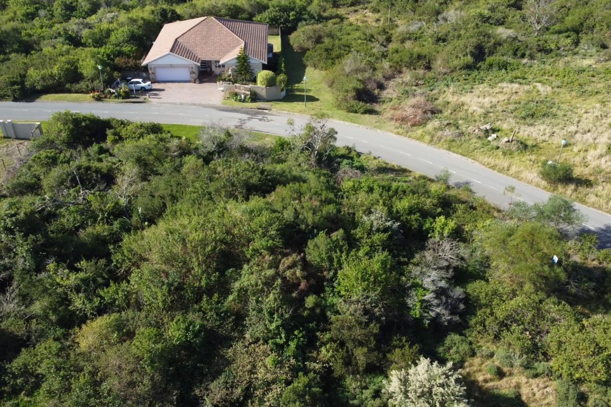 An aerial view of a vacant residential plot covered in dense natural vegetation, situated adjacent to a paved road and existing residential housing.