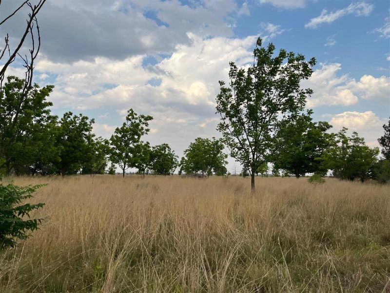 Small Holding For Sale with Orchid Potential in Vaal Power - Photo 4