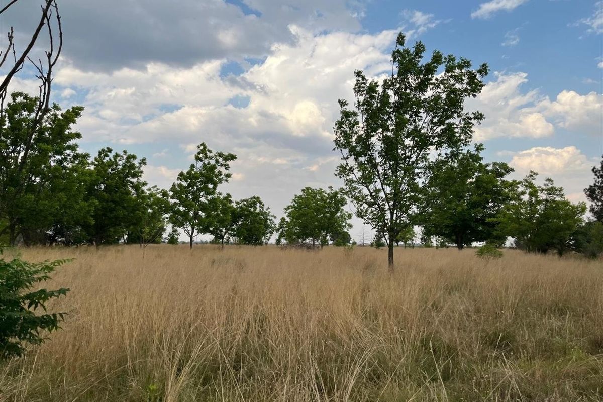 Small Holding For Sale with Orchid Potential in Vaal Power - Photo 4