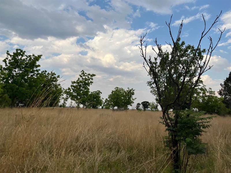 Small Holding For Sale with Orchid Potential in Vaal Power - Photo 3