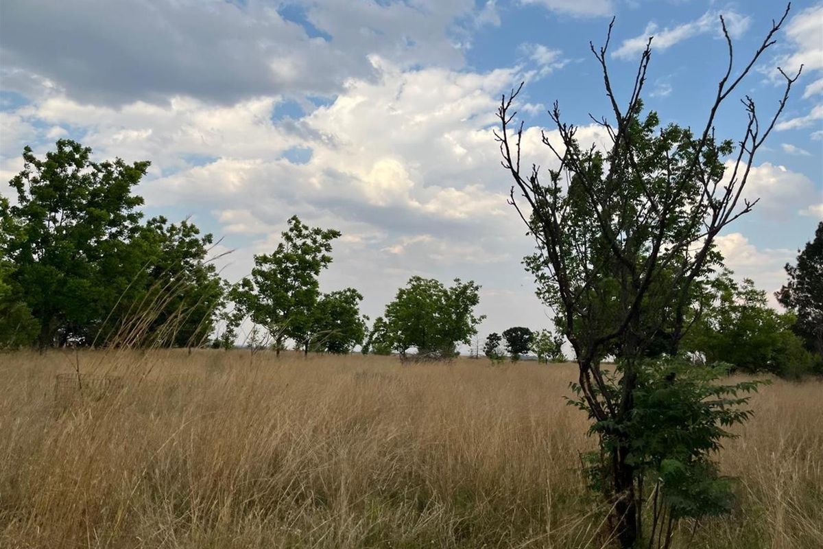 Small Holding For Sale with Orchid Potential in Vaal Power - Photo 3