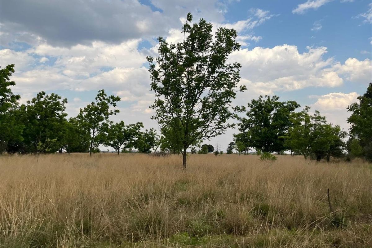 Small Holding For Sale with Orchid Potential in Vaal Power - Photo 5