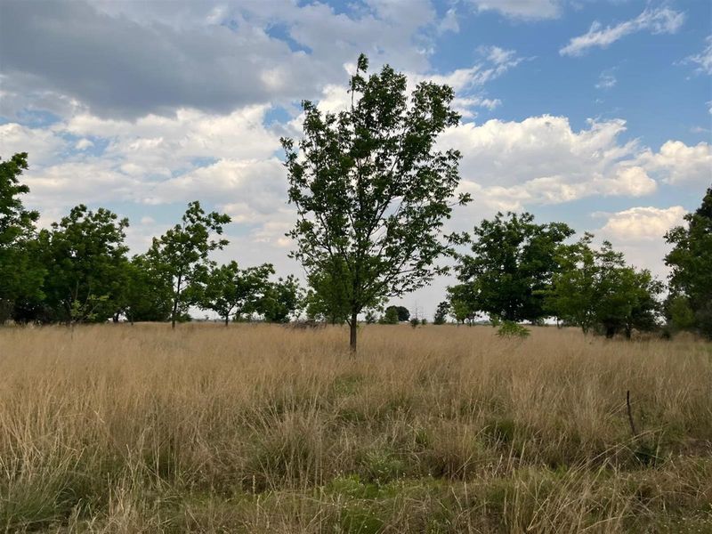 Small Holding For Sale with Orchid Potential in Vaal Power - Photo 5