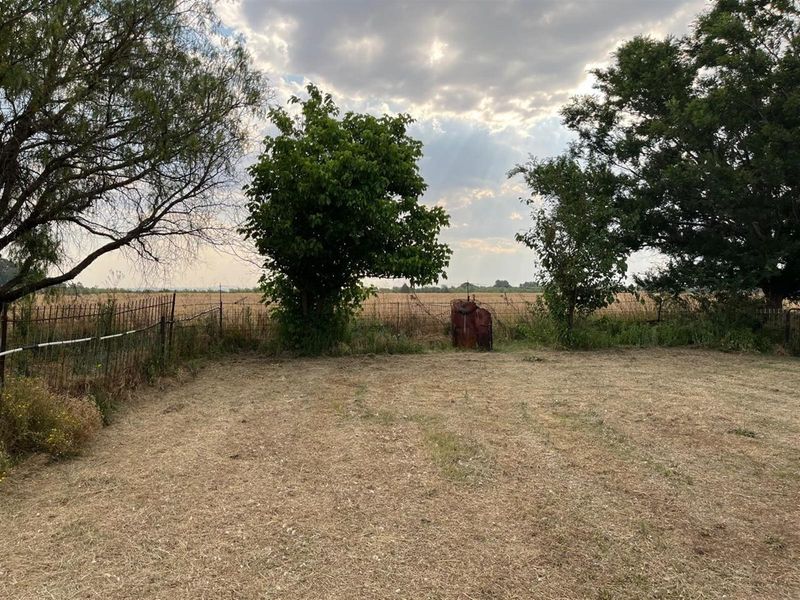 Small Holding For Sale with Orchid Potential in Vaal Power - Photo 8