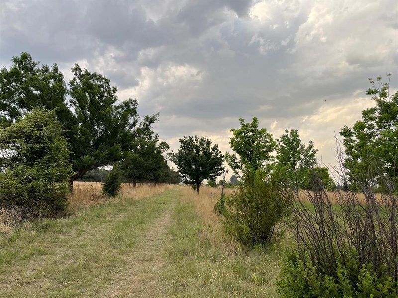 Small Holding For Sale with Orchid Potential in Vaal Power - Photo 7