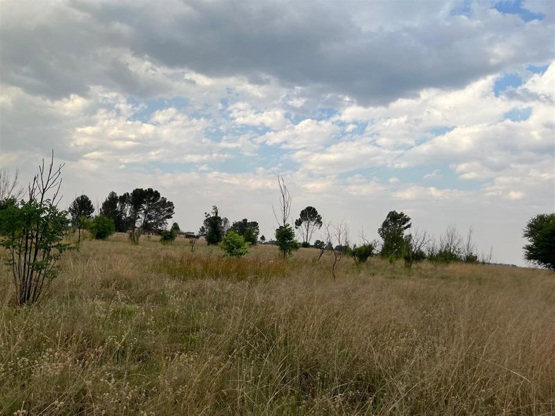 Small Holding For Sale with Orchid Potential in Vaal Power - Photo 2