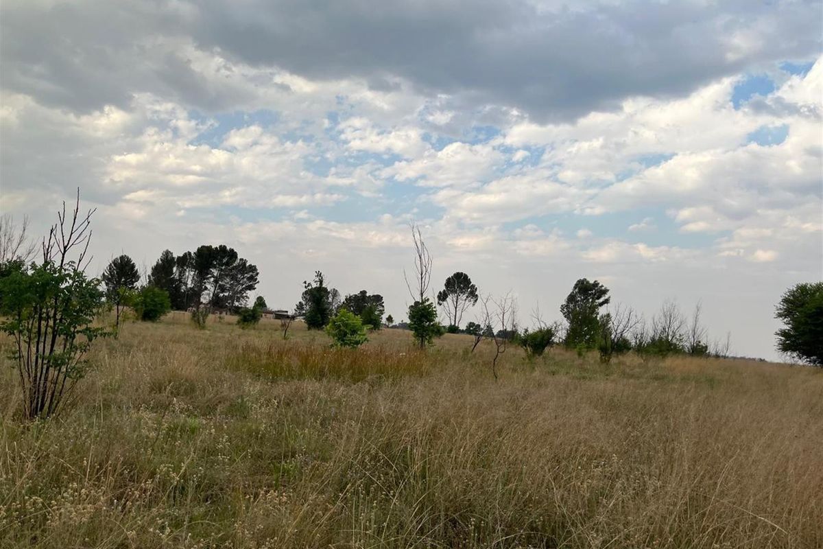 Small Holding For Sale with Orchid Potential in Vaal Power - Photo 2