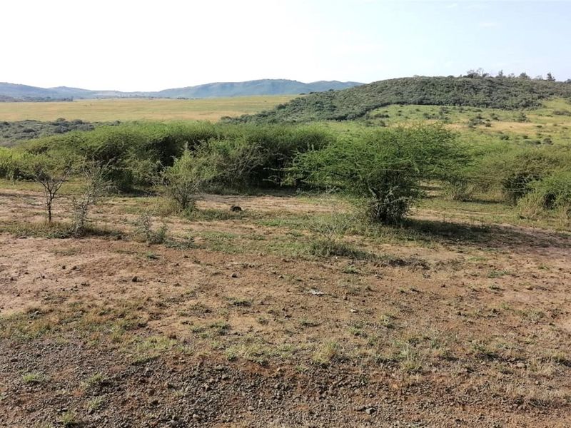 Farm For Sale in Empangeni Rural, Empangeni, KwaZulu Natal - Photo 9