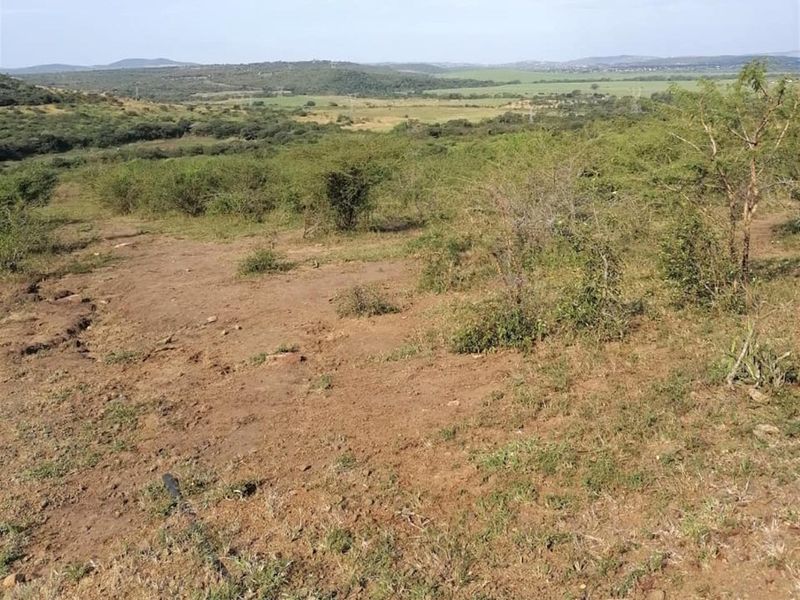 Farm For Sale in Empangeni Rural, Empangeni, KwaZulu Natal - Photo 6