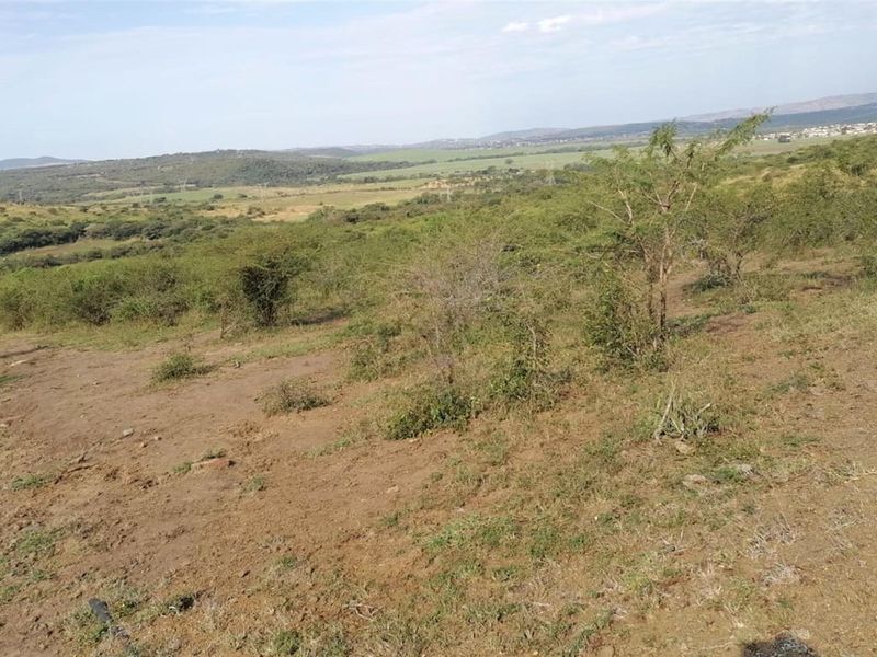 Farm For Sale in Empangeni Rural, Empangeni, KwaZulu Natal - Photo 8