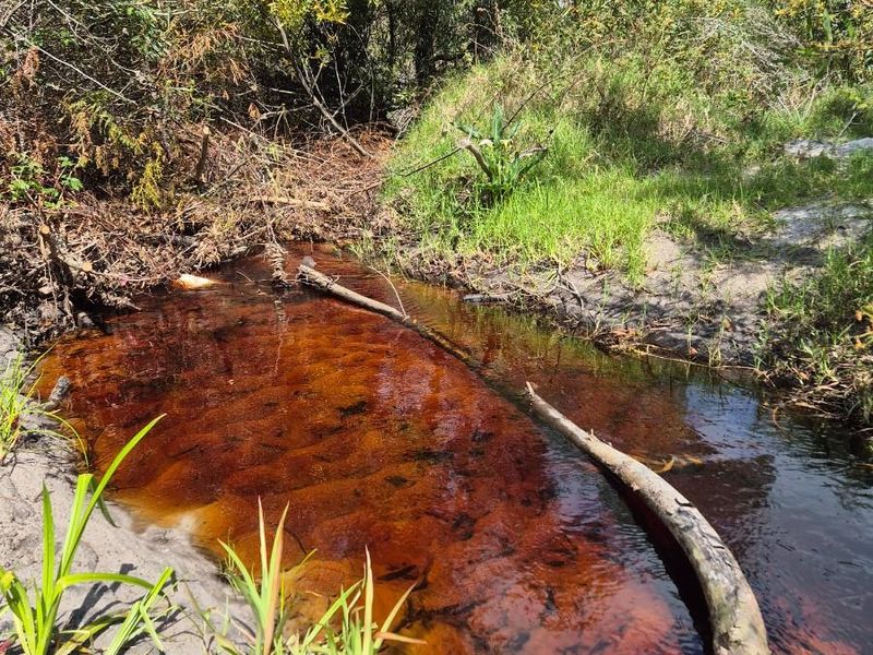 Vacant Land For Sale in Baardskeerdersbos - Photo 7