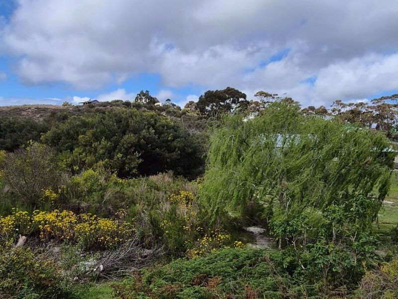 Vacant Land For Sale in Baardskeerdersbos - Photo 6