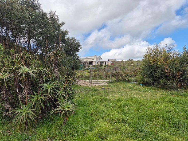 Vacant Land For Sale in Baardskeerdersbos - Photo 4