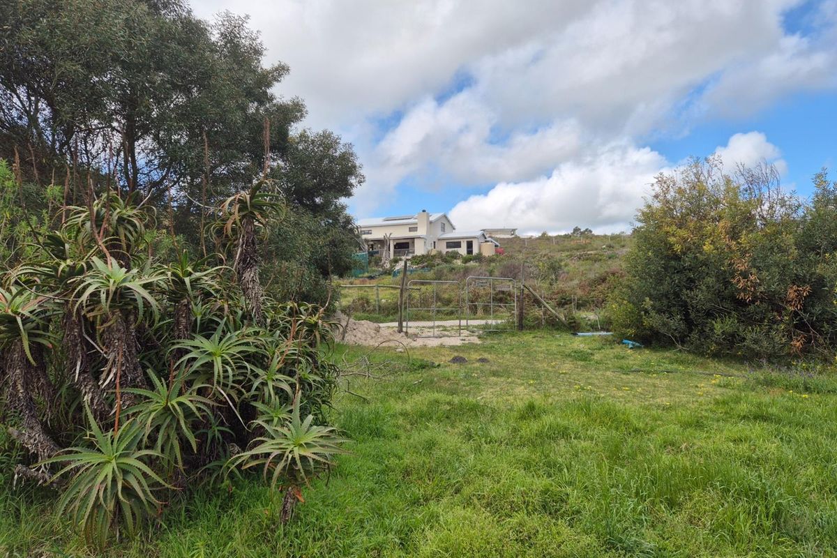 Vacant Land For Sale in Baardskeerdersbos - Photo 4