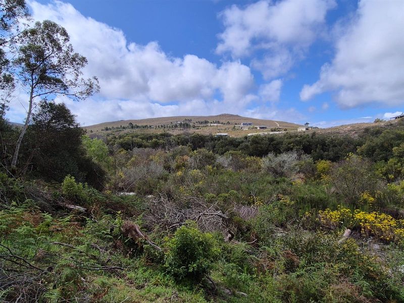 Vacant Land For Sale in Baardskeerdersbos - Photo 5