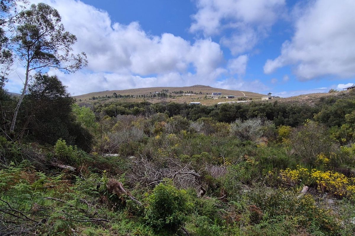 Vacant Land For Sale in Baardskeerdersbos - Photo 5