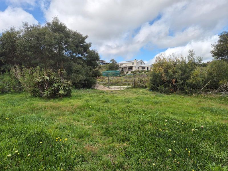 Vacant Land For Sale in Baardskeerdersbos - Photo 3