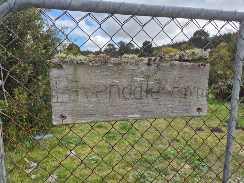 Vacant Land For Sale in Baardskeerdersbos - Photo 2