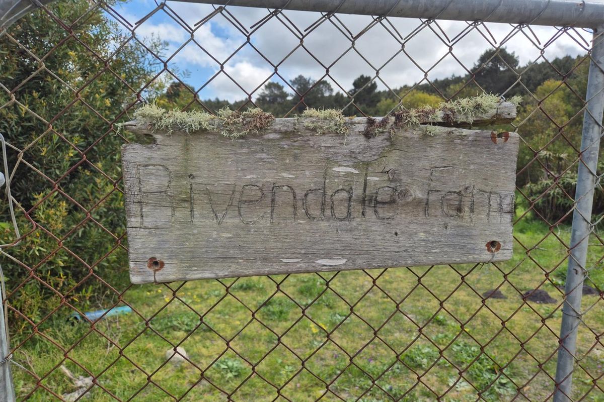 Vacant Land For Sale in Baardskeerdersbos - Photo 2