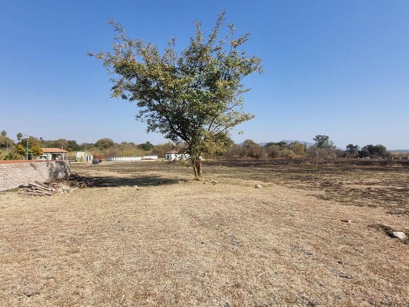 A view of a vacant residential plot featuring a brick boundary wall and a mature tree on the property.
