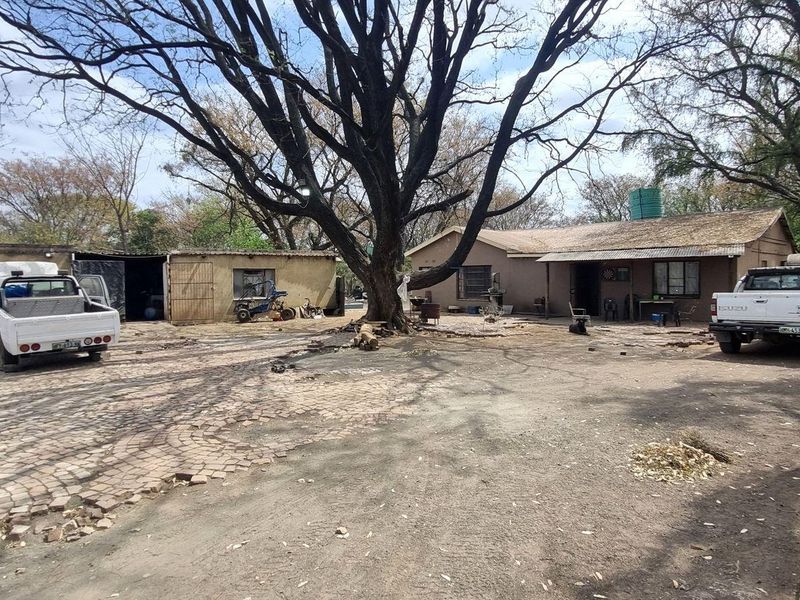 Rear exterior view of the property featuring a large yard, paved driveway, outbuilding, and mature trees, requiring significant maintenance and landscaping.