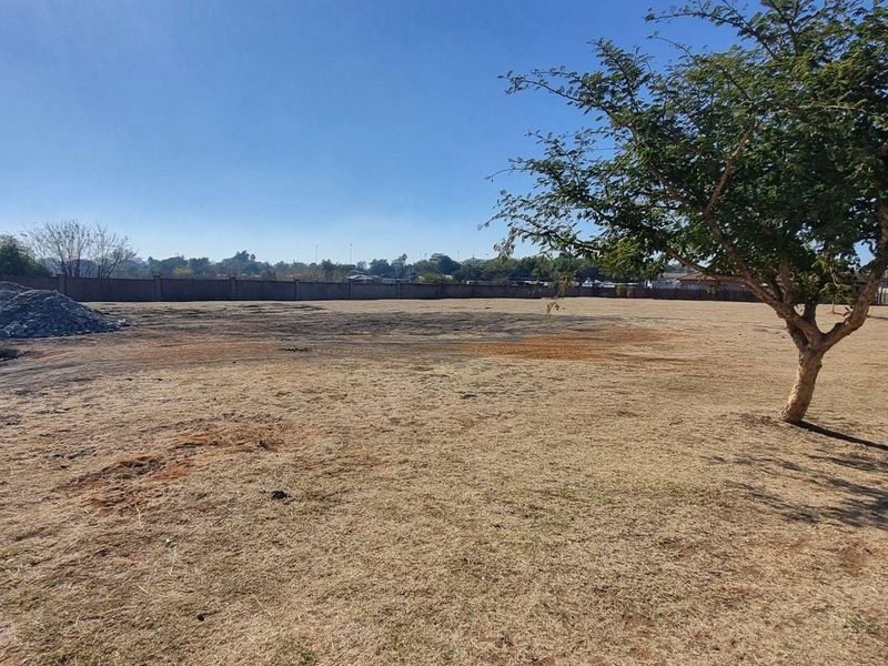 A vacant residential plot featuring a perimeter wall, street access, and an existing tree, ready for development.
