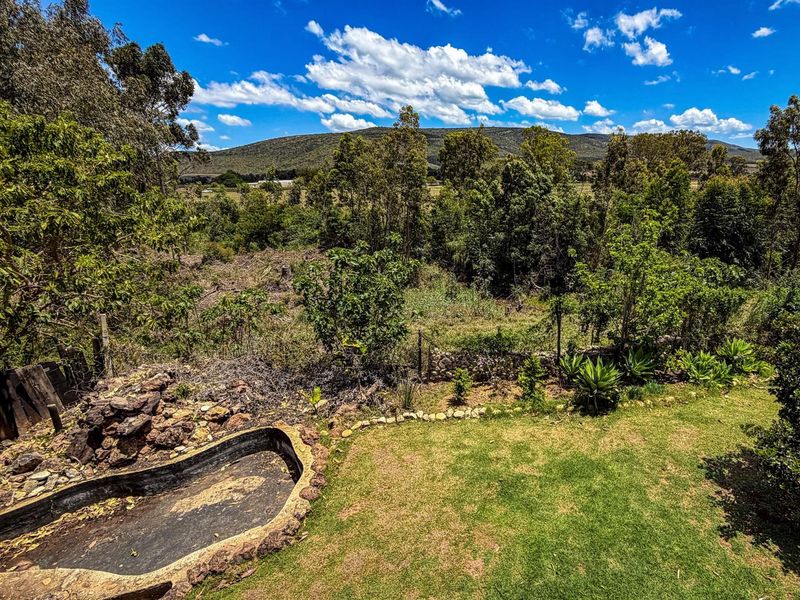 A scenic view of the farm landscape featuring a small garden pond, manicured lawn, and mature trees set against a mountain backdrop.