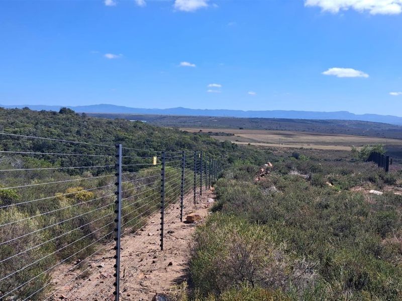 Vacant Stand in Prestigious Twin Valley Nature Estate - Photo 2