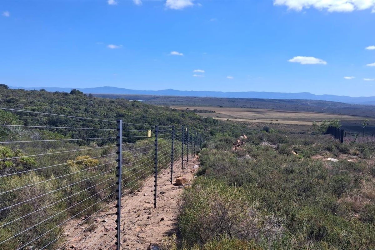 Vacant Stand in Prestigious Twin Valley Nature Estate - Photo 2