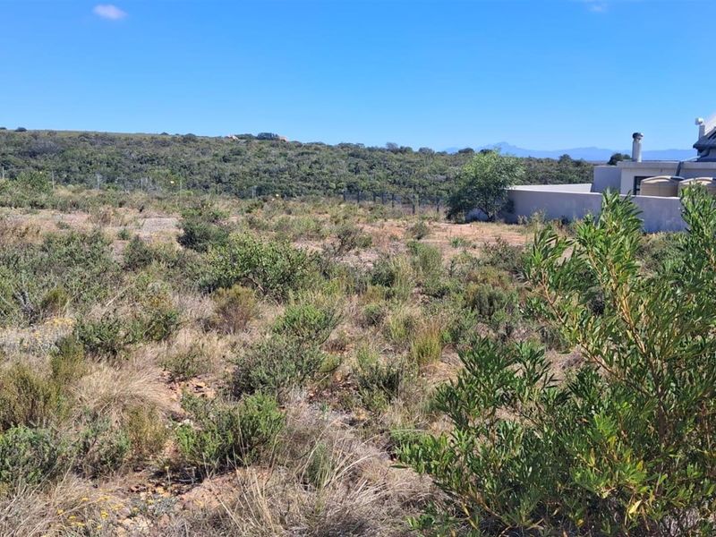 Vacant Stand in Prestigious Twin Valley Nature Estate - Photo 3