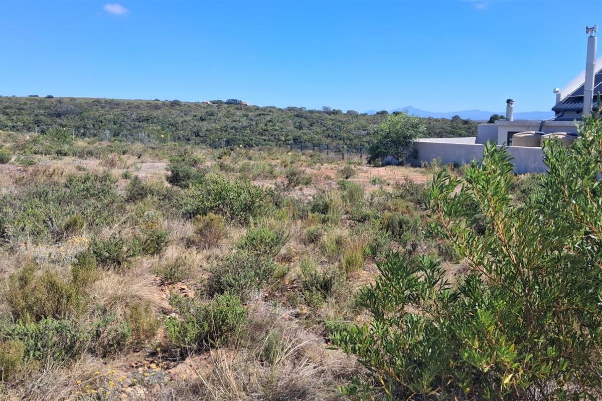 Vacant Stand in Prestigious Twin Valley Nature Estate - Photo 3