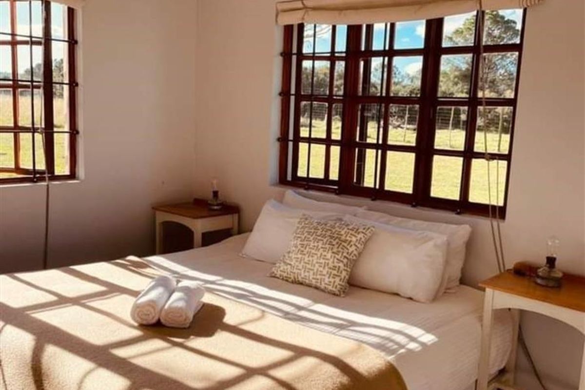 A bright bedroom featuring timber-framed windows with rural views, neutral wall finishes, and carpeted flooring.