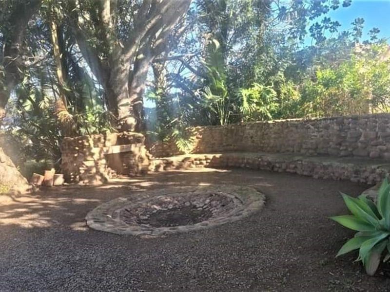 Outdoor fire pit area featuring a circular stone-built fire pit and curved stone seating wall nestled within a mature garden setting.