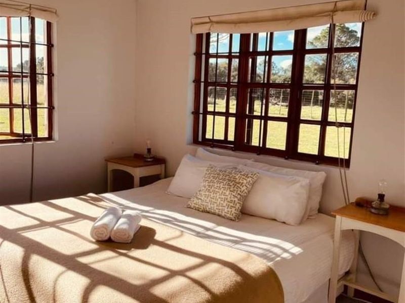 A bright bedroom featuring timber-framed windows with rural views, neutral wall finishes, and carpeted flooring.