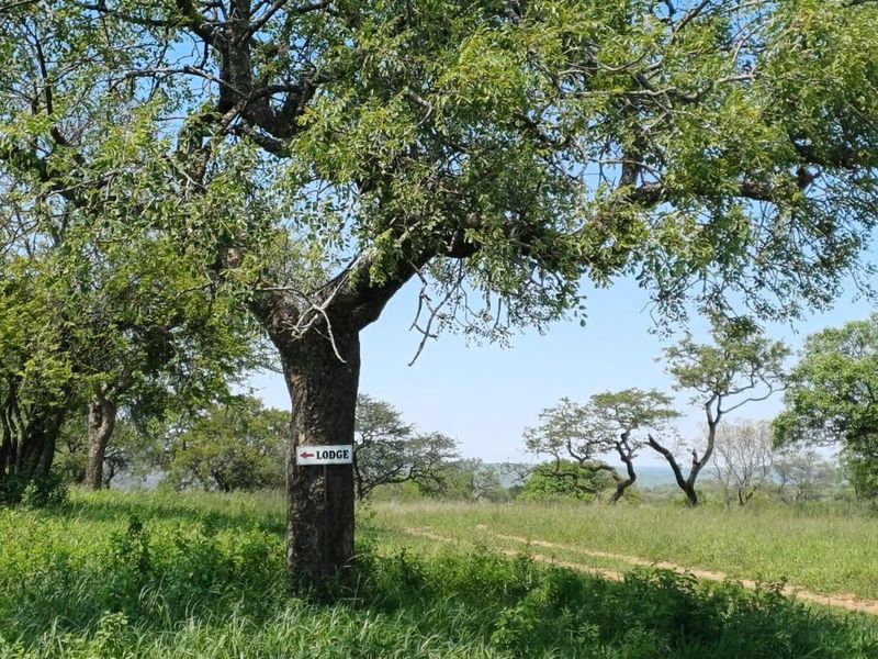 Developed cattle and game farm with venue and Lodge - Photo 7