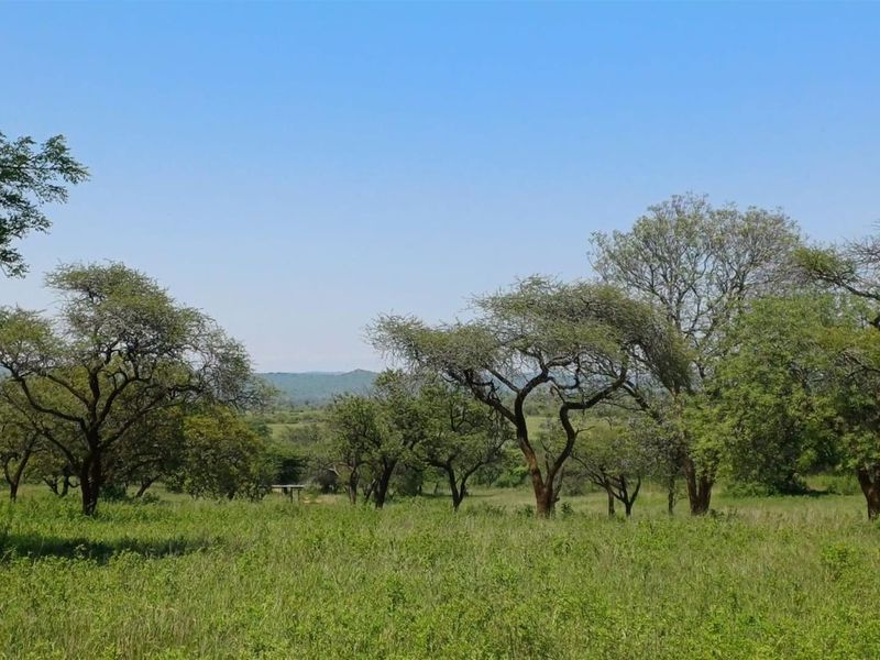 Developed cattle and game farm with venue and Lodge - Photo 6