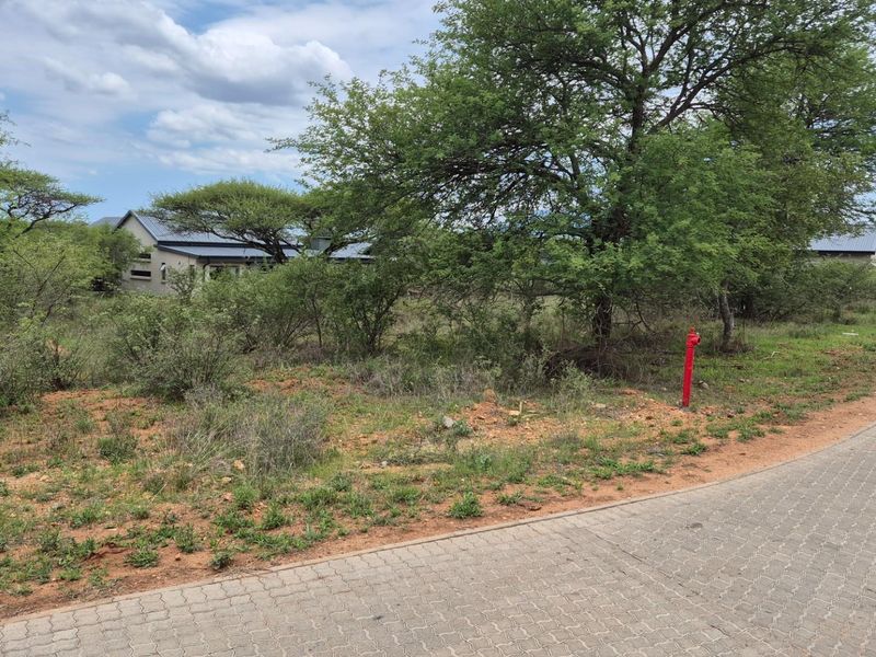 A view of the street approach featuring a paved road and a fire hydrant, with natural bushveld vegetation in the background.