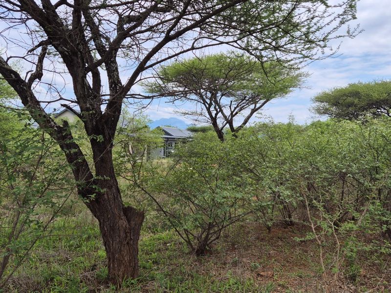 A view of the property exterior partially obscured by dense native bushveld vegetation and mature trees.