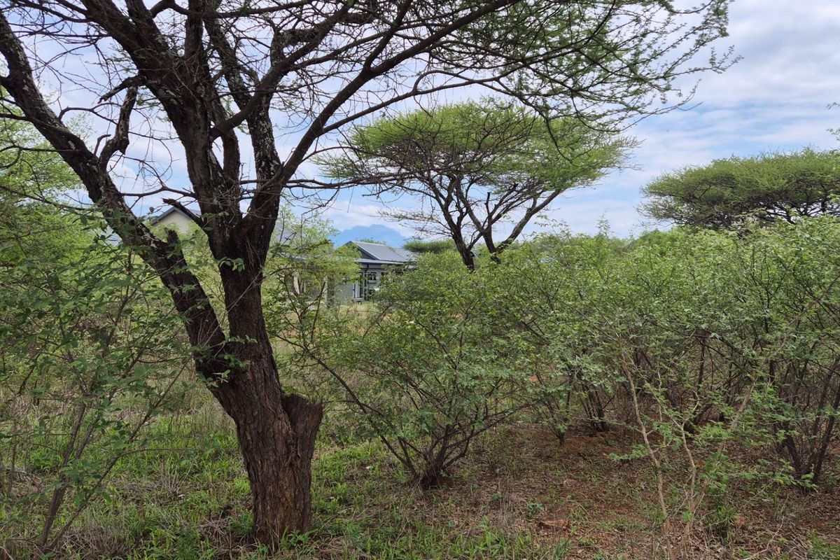 A view of the property exterior partially obscured by dense native bushveld vegetation and mature trees.