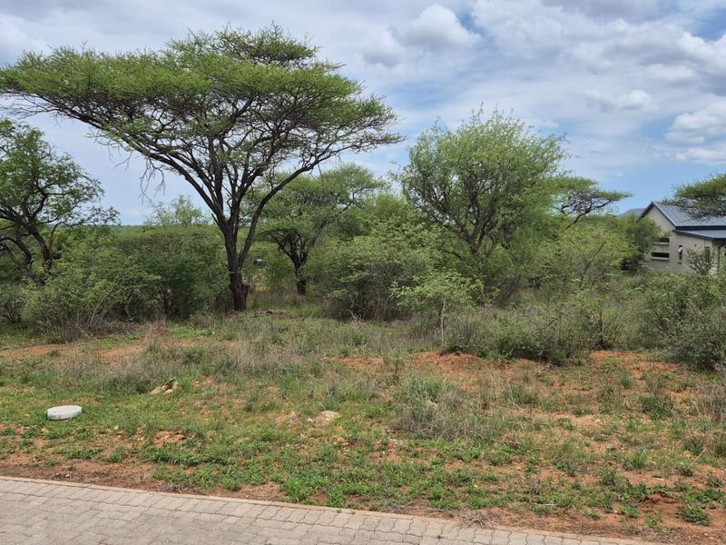A view of a vacant residential plot featuring natural bushveld vegetation and indigenous trees, adjacent to a paved access road.