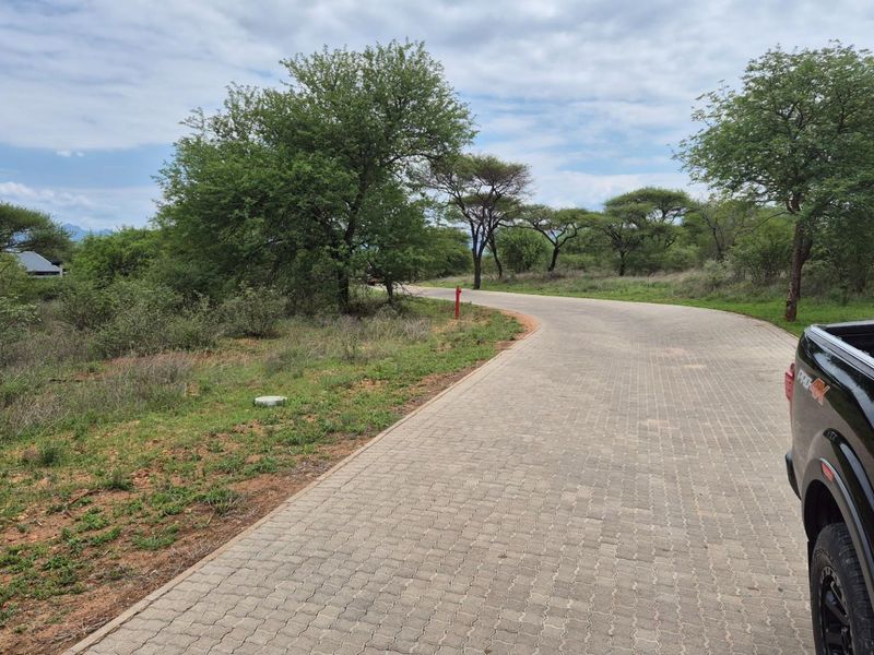 A view of a paved residential driveway winding through a landscaped estate setting with mature trees and natural vegetation.