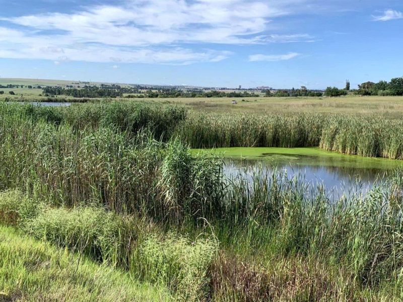 A Rare Opportunity in Glen Cullen -  Stand With Approved Luxury Home Plans! - Photo 4