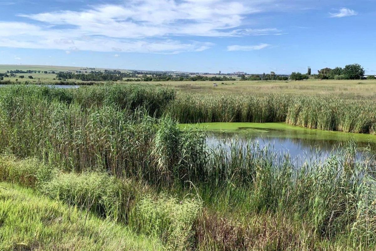 A Rare Opportunity in Glen Cullen -  Stand With Approved Luxury Home Plans! - Photo 4