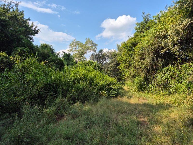 A large house under construction  on one of the best plots in Blyde Wildlife Estate, Hoedspruit - Photo 5